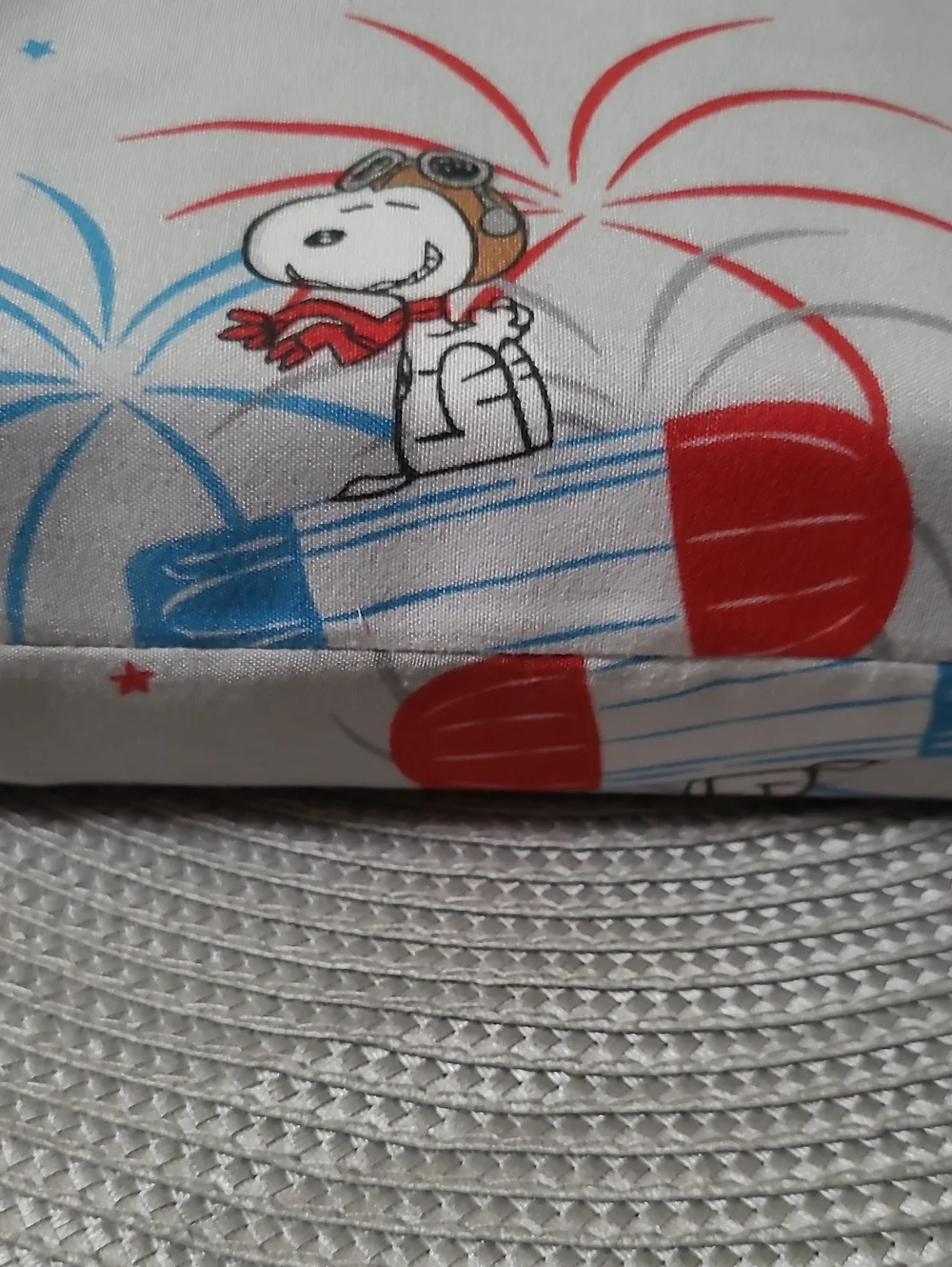 Berkshire Home Peanuts Twin Sheet Set